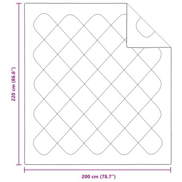 vidaXL Χειμερινό Παπλωματοθήκη 220 x 202 x 5 εκ. Χειμώνας Πολυεστέρας