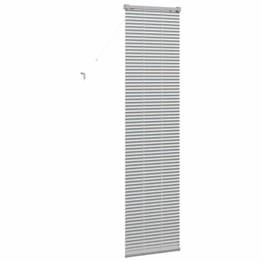 vidaXL Βενετσιάνικες Ρόδες Ασημί 175 x 40 εκ Αλουμίνιο