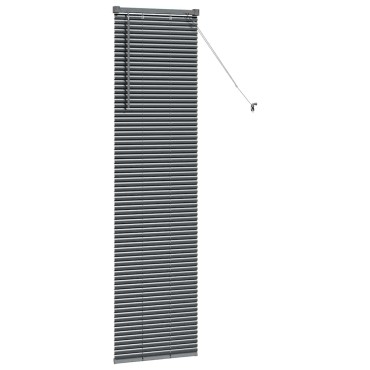 vidaXL Βενετσιάνικες Ρόδες Σκούρο Γκρι 175 x 40 εκ Αλουμίνιο