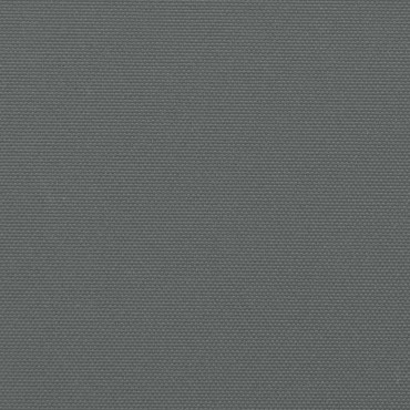 vidaXL Πτυσσόμενη Πλαϊνή Τέντα Ανθρακί 220x300 εκ.