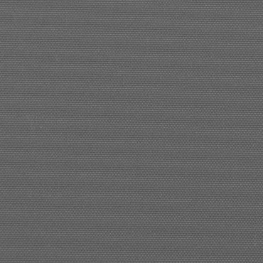 vidaXL Πλαϊνή Τέντα Αναδιπλούμενη Ανθρακί 100x500 εκ.