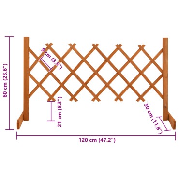 vidaXL Καφασωτό Φράχτης Κήπου Πορτοκαλί 120x60cm Μασίφ Ξύλο Ελάτης