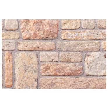 vidaXL Πάνελ Τοίχου 3D 10 τεμ. Καφέ 100 x 50 EPS